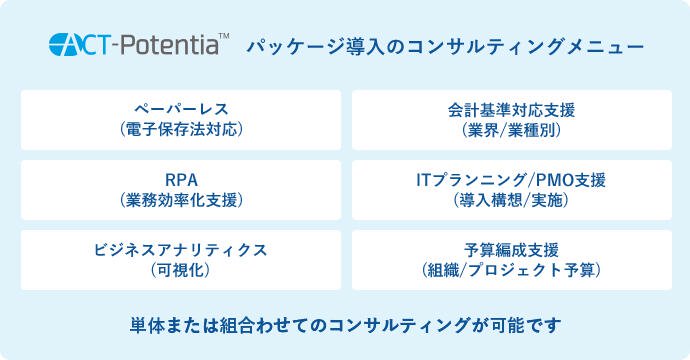 パッケージ導入コンサルティング